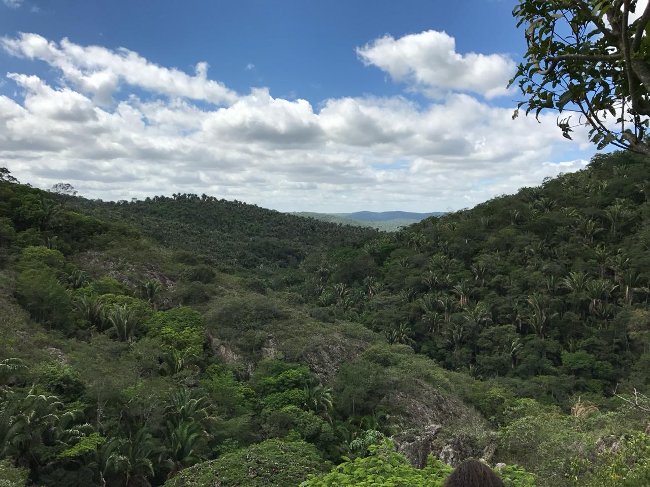 Paisagem